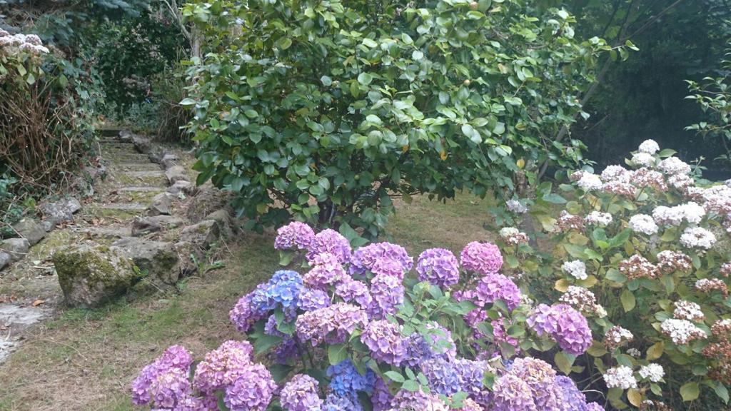 B&B El Jardin De Aes بوينتي مْبْييسغو المظهر الخارجي الصورة