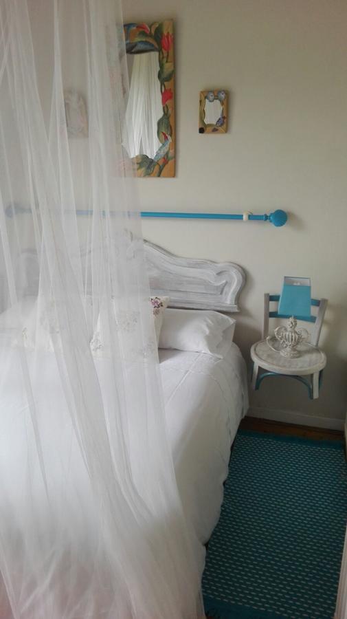 B&B El Jardin De Aes بوينتي مْبْييسغو المظهر الخارجي الصورة